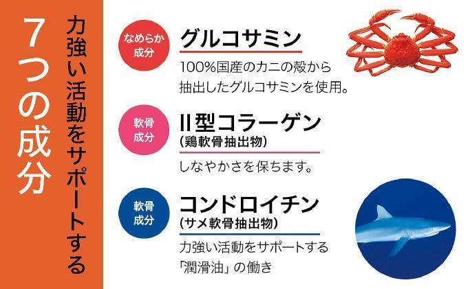 ＜定期便全12回＞グルコサミン＆コンドロイチン（28313）【006-a107】 定期便×12回