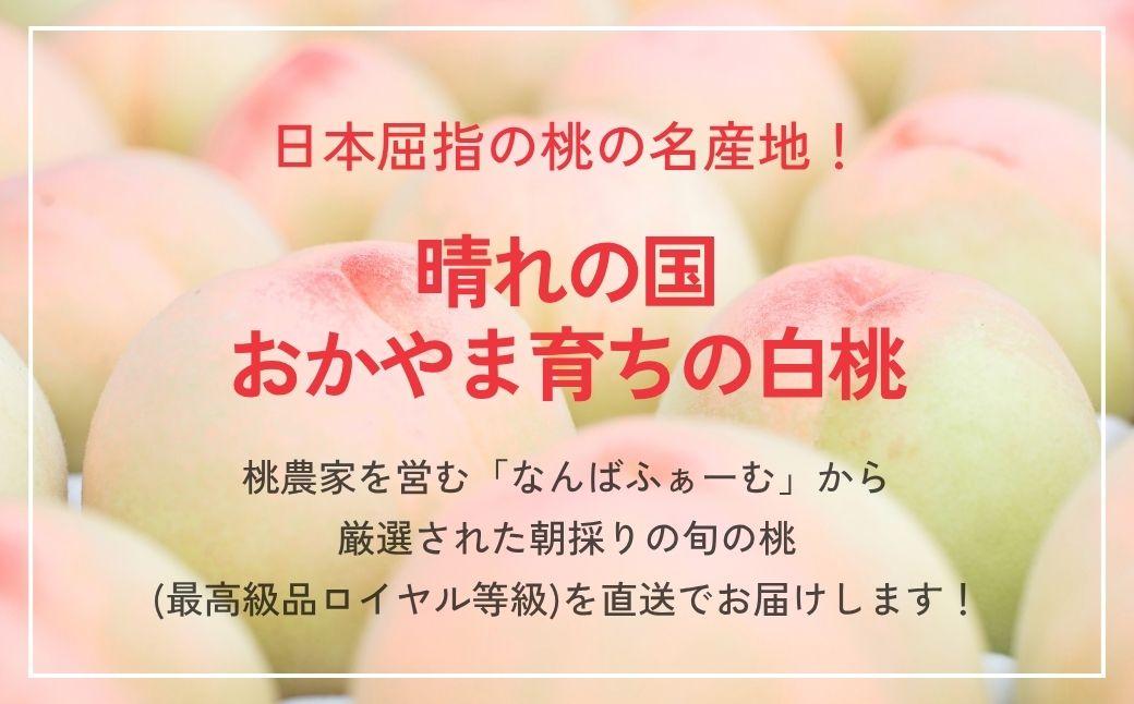 ＜数量限定＞［なんばふぁーむ］岡山県産 旬の桃 2.0kg（5～9玉）[ギフト用]【2026年発送】039-a004 2.0kg（5～9玉）