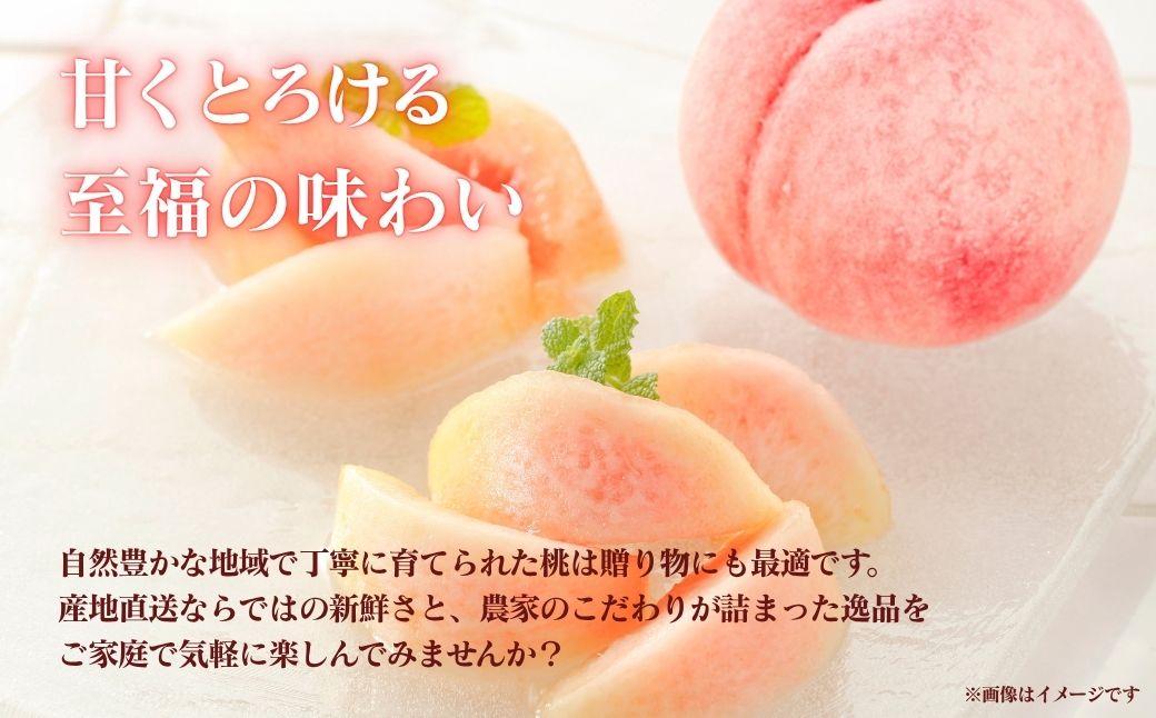 【2026年先行予約】＜数量限定＞岡山県産 厳選旬の桃 約2kg（6玉～9玉）【037-a001】