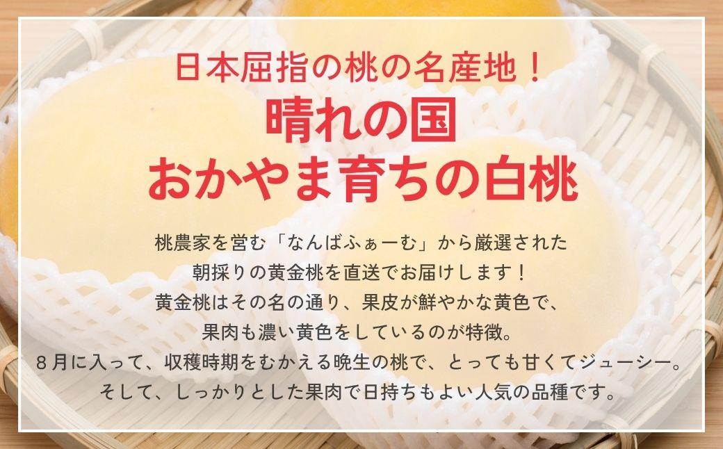 【2026年先行予約】［なんばふぁーむ］岡山県産 黄金桃 750g（3玉）［ご家庭用］【039-a013】 750g（3玉）