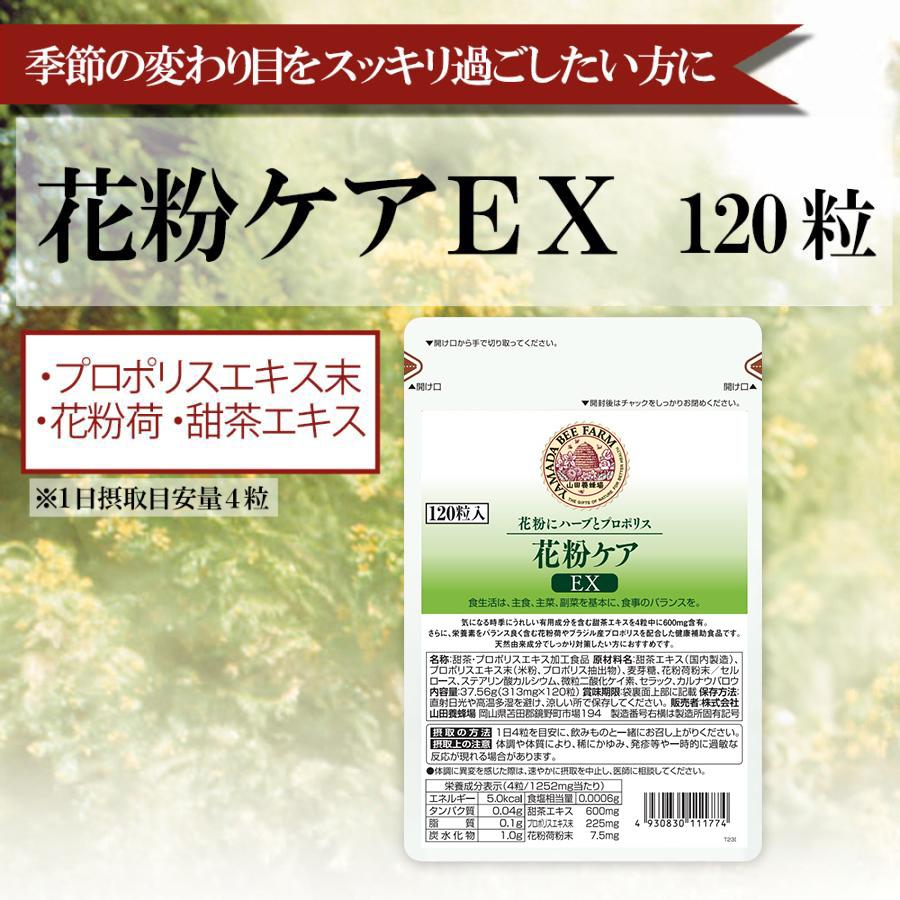 花粉ケアＥＸ（11177）【006-a091】
