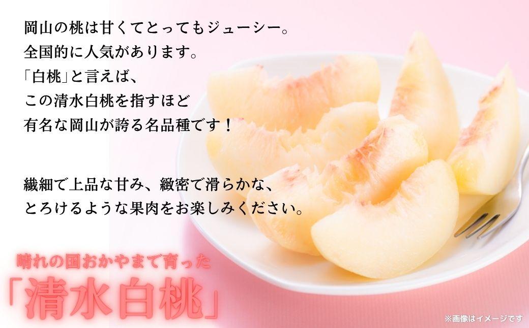【2026年先行予約】［拝郷果樹園］岡山県産 清水白桃 約2kg（6玉～9玉）