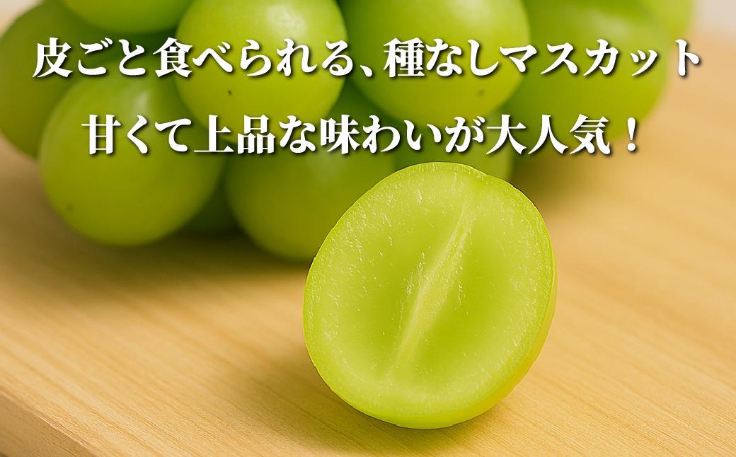 【2026年先行予約】［露地］岡山県産シャインマスカット 1.4kg（２房入） 1.4kg（２房入）
