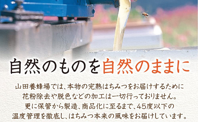 ローズマリー蜂蜜（12552）【006-a048】