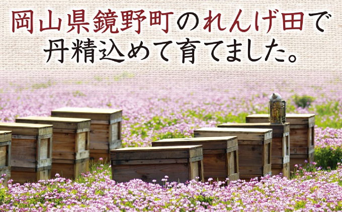 鏡野町産れんげ米＆はちみつ梅干（21876）【006-a051】