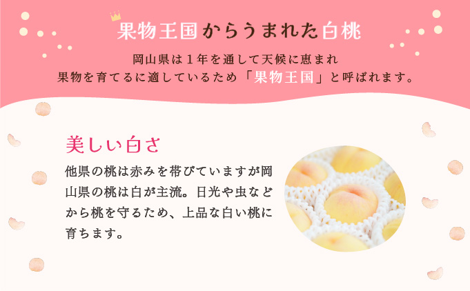 ももこのほっぺ4個入【021-a016】