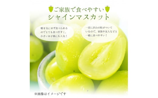 ＜受付終了間近＞シャインマスカット 1房 700g以上【025-a020】