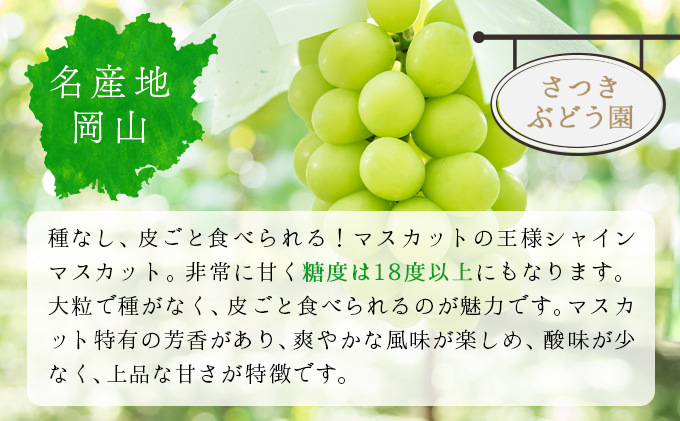 ＜2025年発送分 先行予約＞シャインマスカット 1.2kg以上（2～3房）【025-a021】