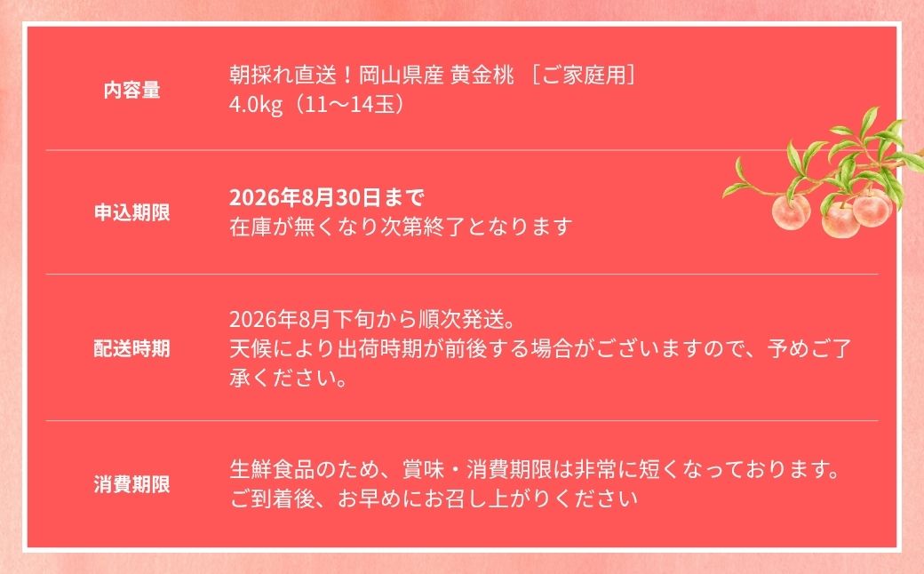 【2026年先行予約】［なんばふぁーむ］岡山県産 黄金桃 4.0kg（11〜14玉）［ご家庭用］【039-a007】 4.0kg（11～14玉）