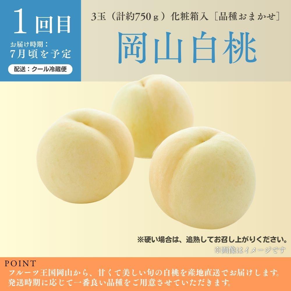 ＜定期便3回＞ 岡山白桃、シャインマスカット晴王、ぼっけぇピオーネの3回コース [040-a014]