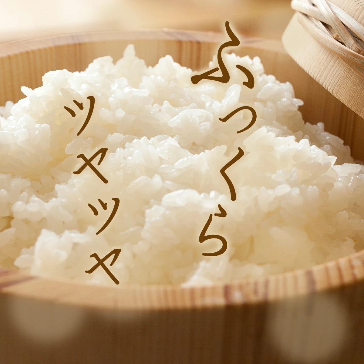 【2026年12月発送分】【先行予約】令和8年産 鏡野町産 コシヒカリ 精米 10kg（2kg×5袋）【033-a012】｜お米 米 白米 2026年12月発送