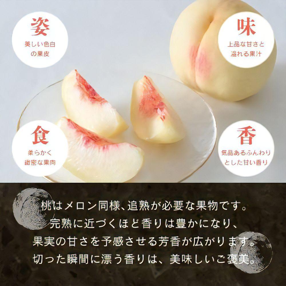 【先行予約】晴れの国おかやま 白桃・黄金桃食べ比べ４玉【8月下旬～9月上旬発送】【021-a024】 食べ比べ4玉
