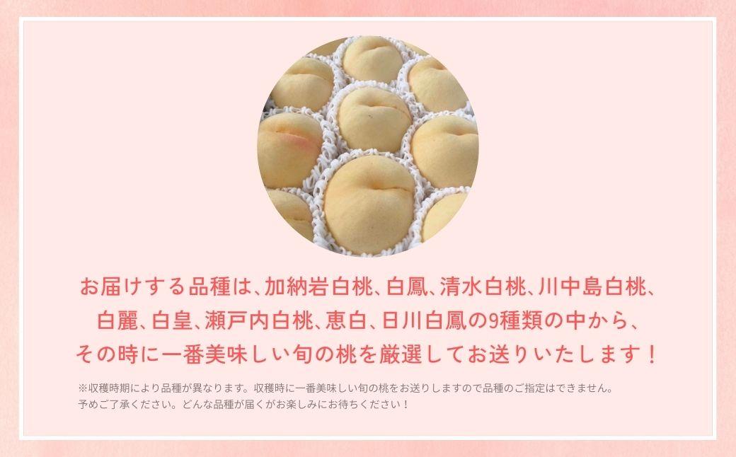 ＜数量限定＞［なんばふぁーむ］岡山県産 旬の桃 2.0kg（5～9玉）［ご家庭用］【2026年発送】 2.0kg（5～9玉）
