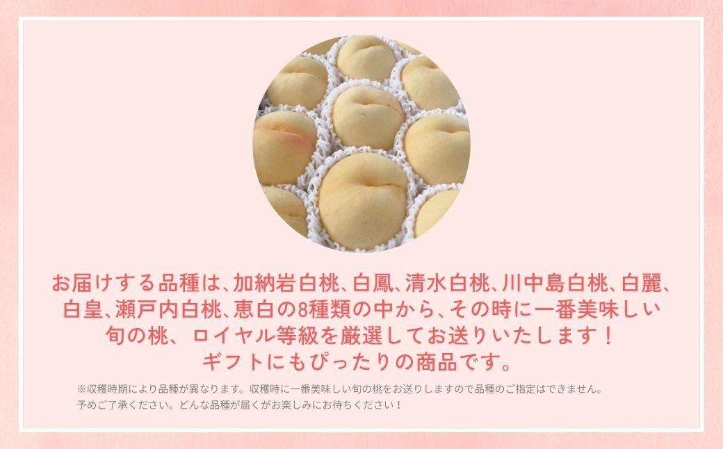 ＜数量限定＞［なんばふぁーむ］岡山県産 旬の桃 2.0kg（5～9玉）[ギフト用]【2026年発送】039-a004 2.0kg（5～9玉）