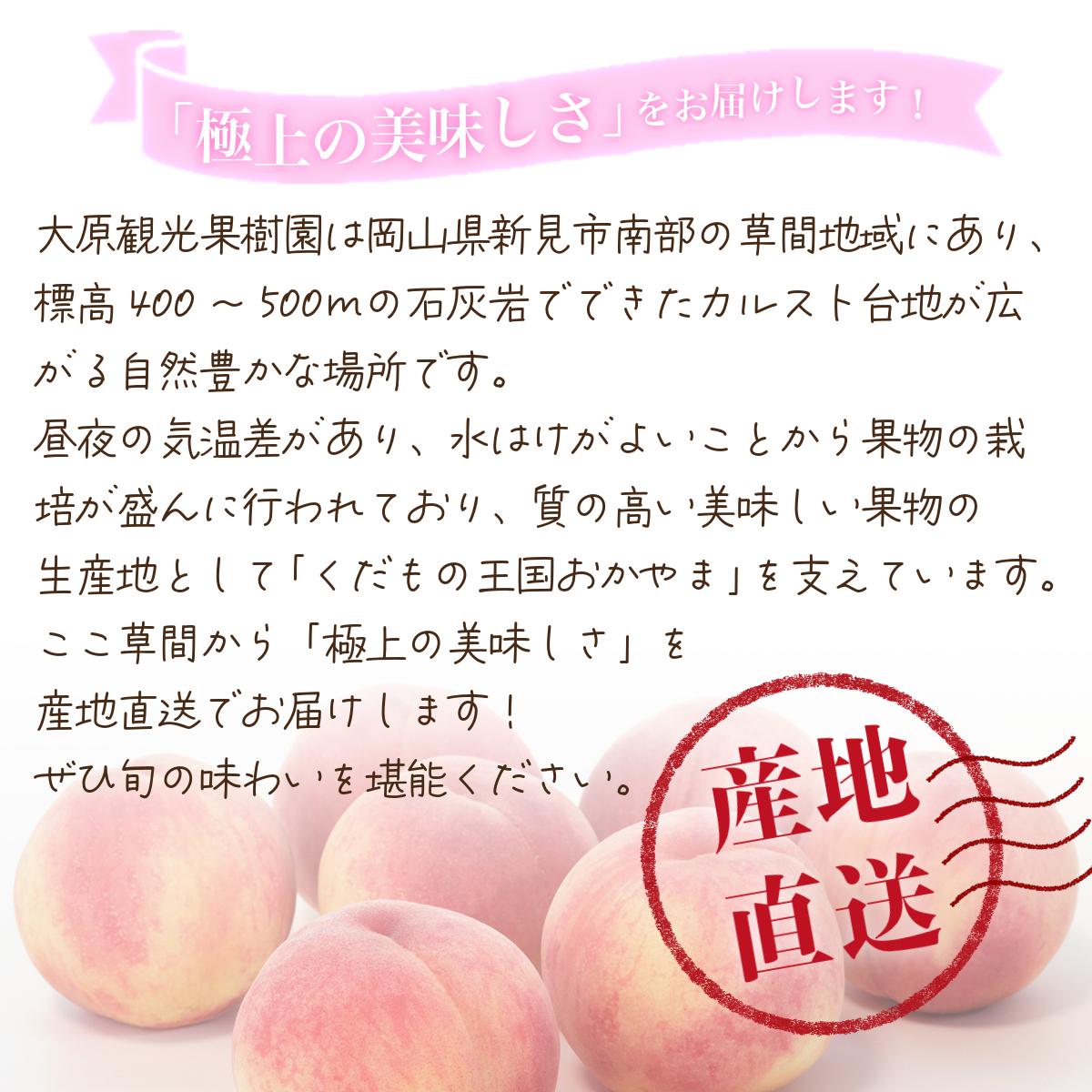 【2026年先行予約】［大原観光果樹園］岡山県産 旬の朝採れ白桃 1箱（約2kg 6玉）【026-a019】 約2kg6玉