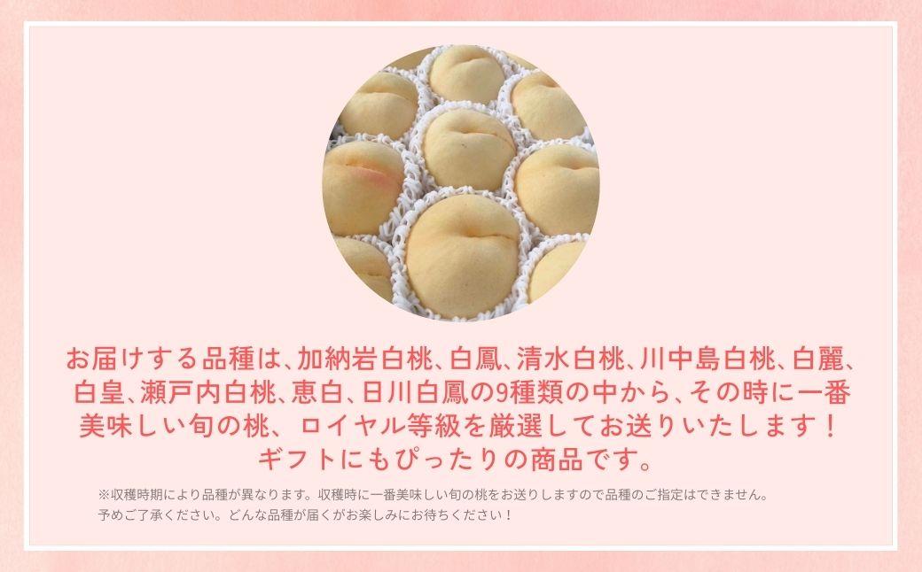 ＜数量限定＞［なんばふぁーむ］岡山県産 旬の桃 1.5kg（4～6玉）[ギフト用]【2026年発送】039-a003 1.5kg（4～6玉）