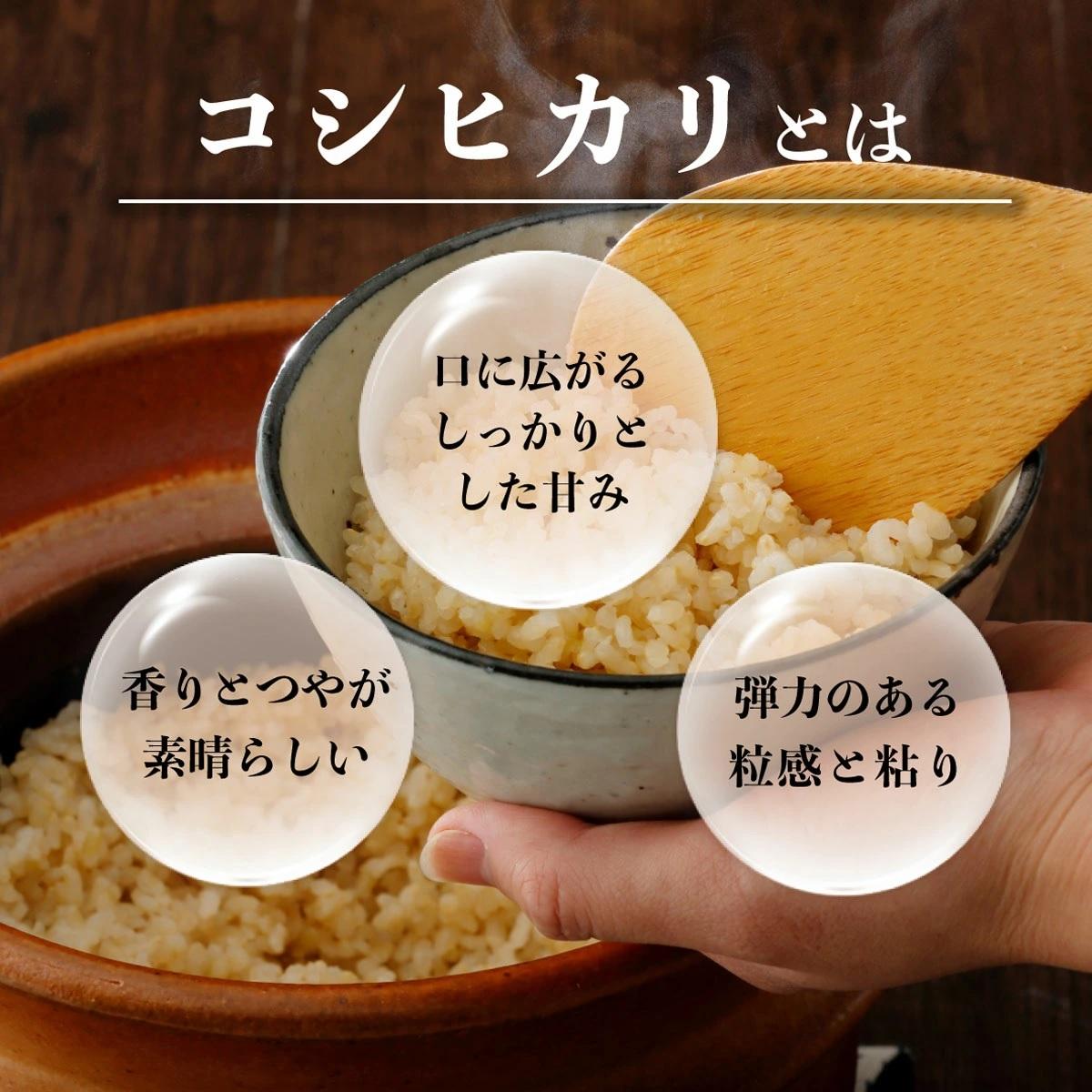 令和7年産 鏡野町産コシヒカリ 玄米 20kg【033-a010】