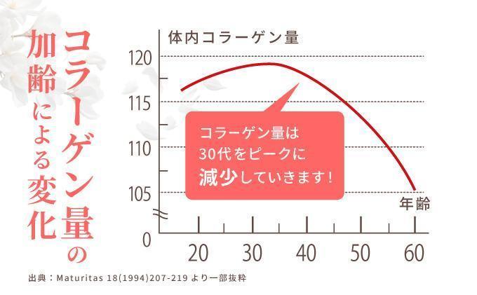 ＜定期便全12回＞コラーゲン 1袋(300粒)×12回 (28066)【006-a101】 定期便12回