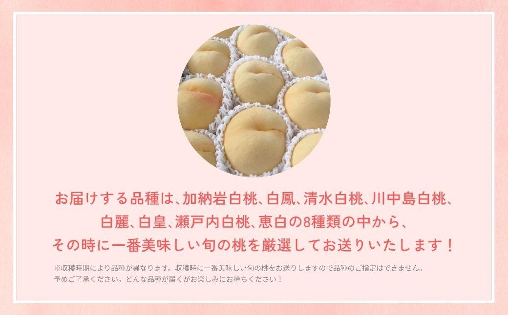 ＜数量限定＞［なんばふぁーむ］岡山県産 旬の桃 2.0kg（5～9玉）［ご家庭用］【2026年発送】 2.0kg（5～9玉）