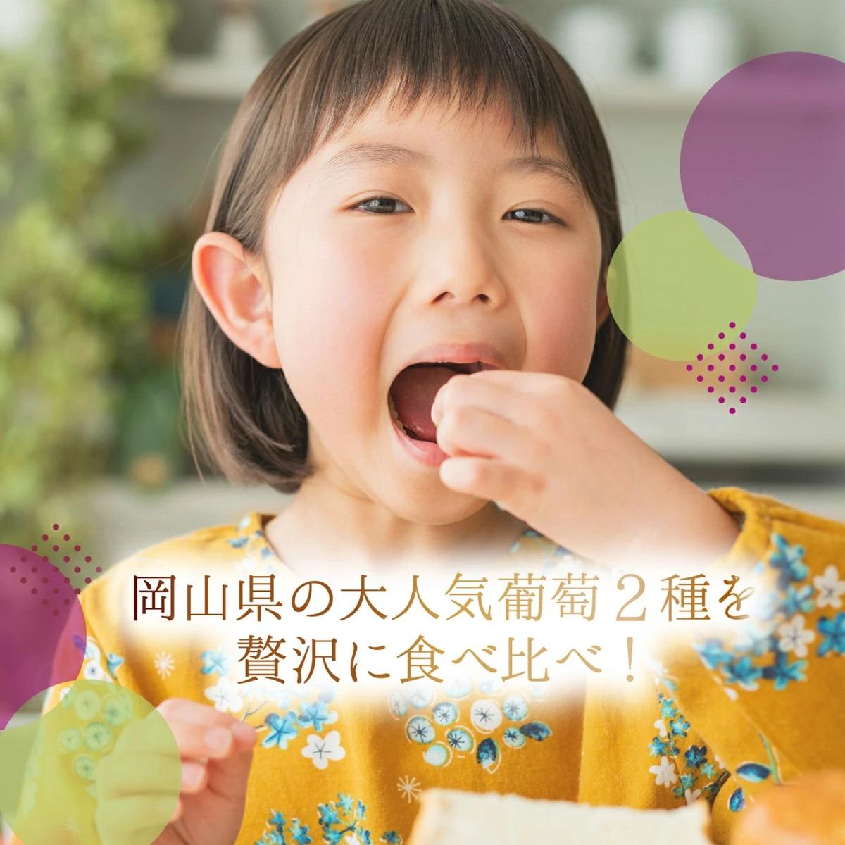 【2026年先行予約】［大原観光果樹園］ピオーネ2房とシャインマスカット2房（計4房 約2kg）【026-a018】 計4房 約2kg