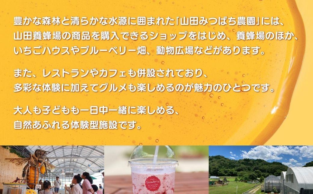 ［山田みつばち農園］1Dayフリーパス（6月～12月）※いちご狩りなし 049-a003