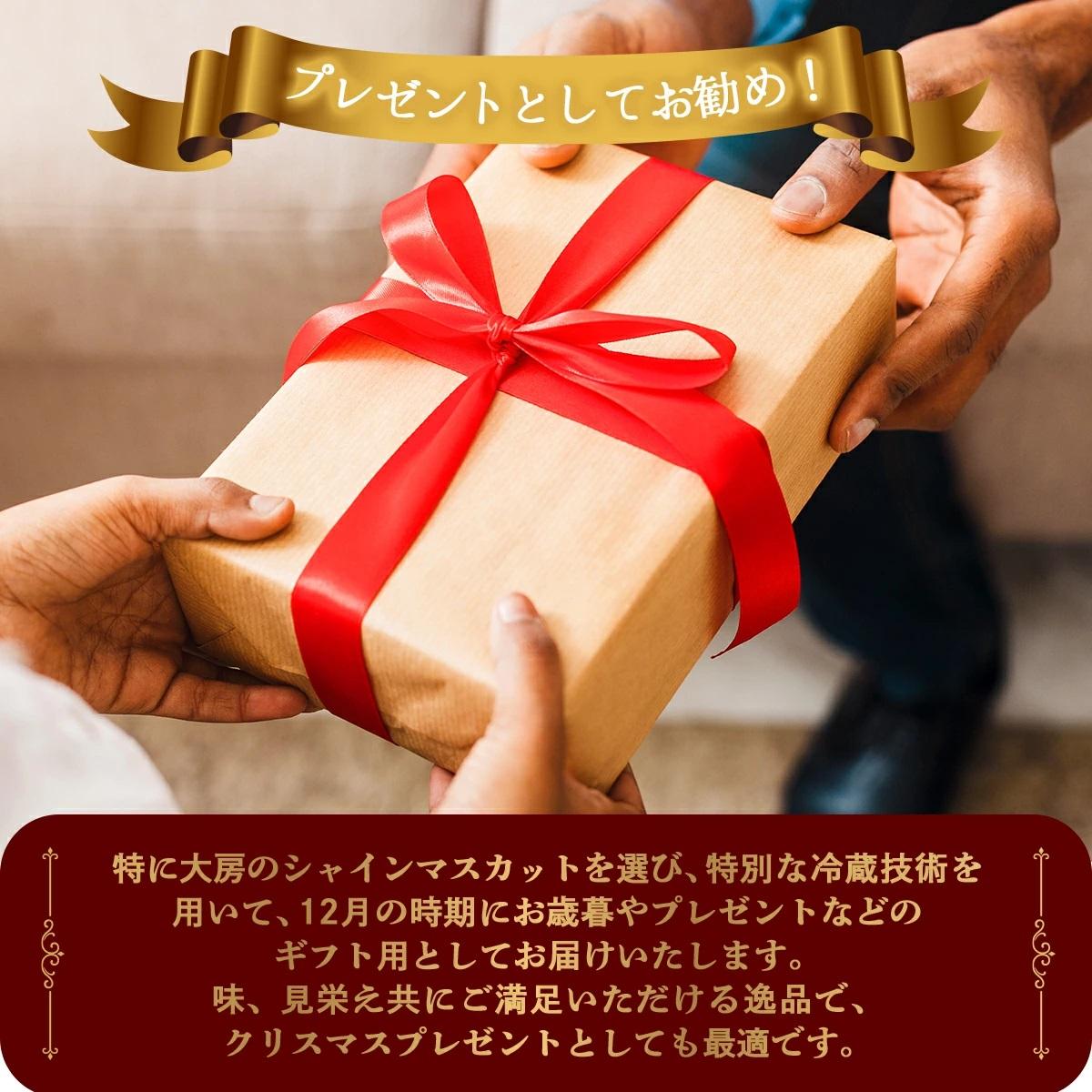 ＜2025年12月発送＞【ギフト】岡山県産 冬のシャインマスカット 1房 600g以上 [025-a032] 1房