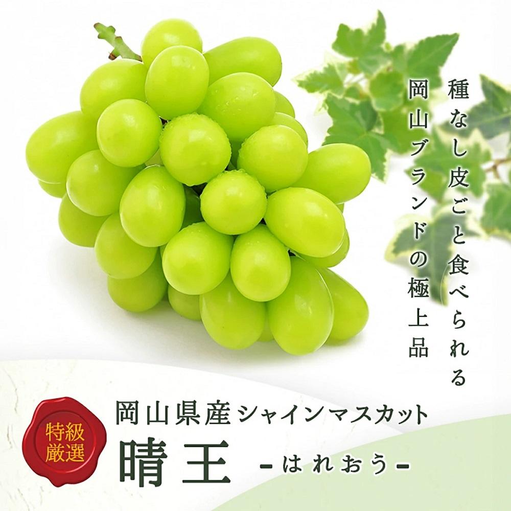 岡山白桃2玉（約500ｇ）＆シャインマスカット晴王1房（約500ｇ）化粧箱入