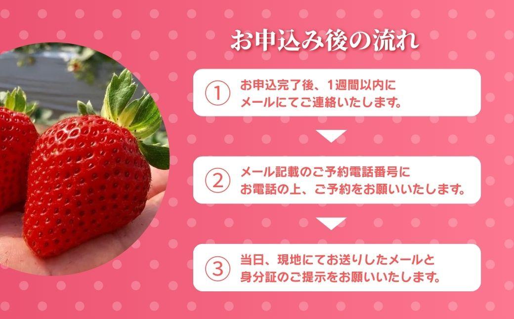 鏡野町まほらファーム いちご狩りご招待券（1名様）【2026年2月～5月】【029-a016】
