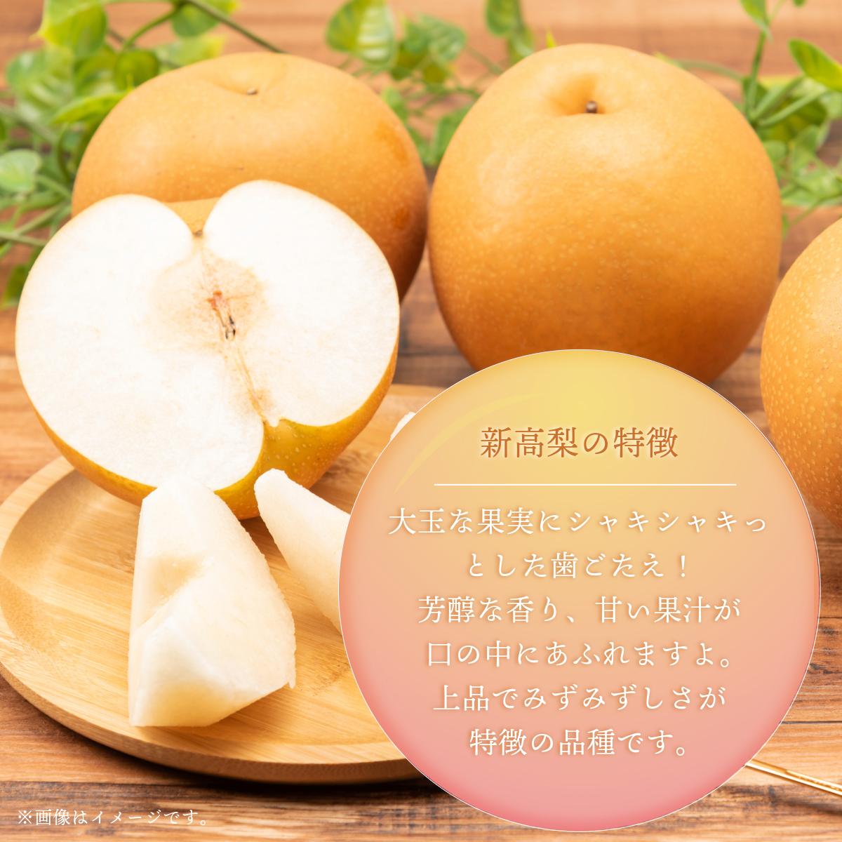 【2026年先行予約】［大原観光果樹園］岡山県産 旬の梨（新高）（約4kg ５～６玉）【026-a023】