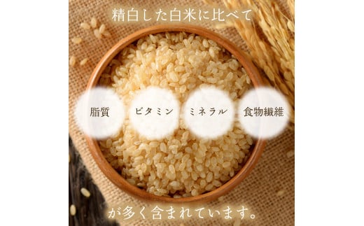 菓子専用　玄米粉パンケーキミックス　200g×5袋（奥津かがみちゃん　ななほしやオリジナルグッズ付き）