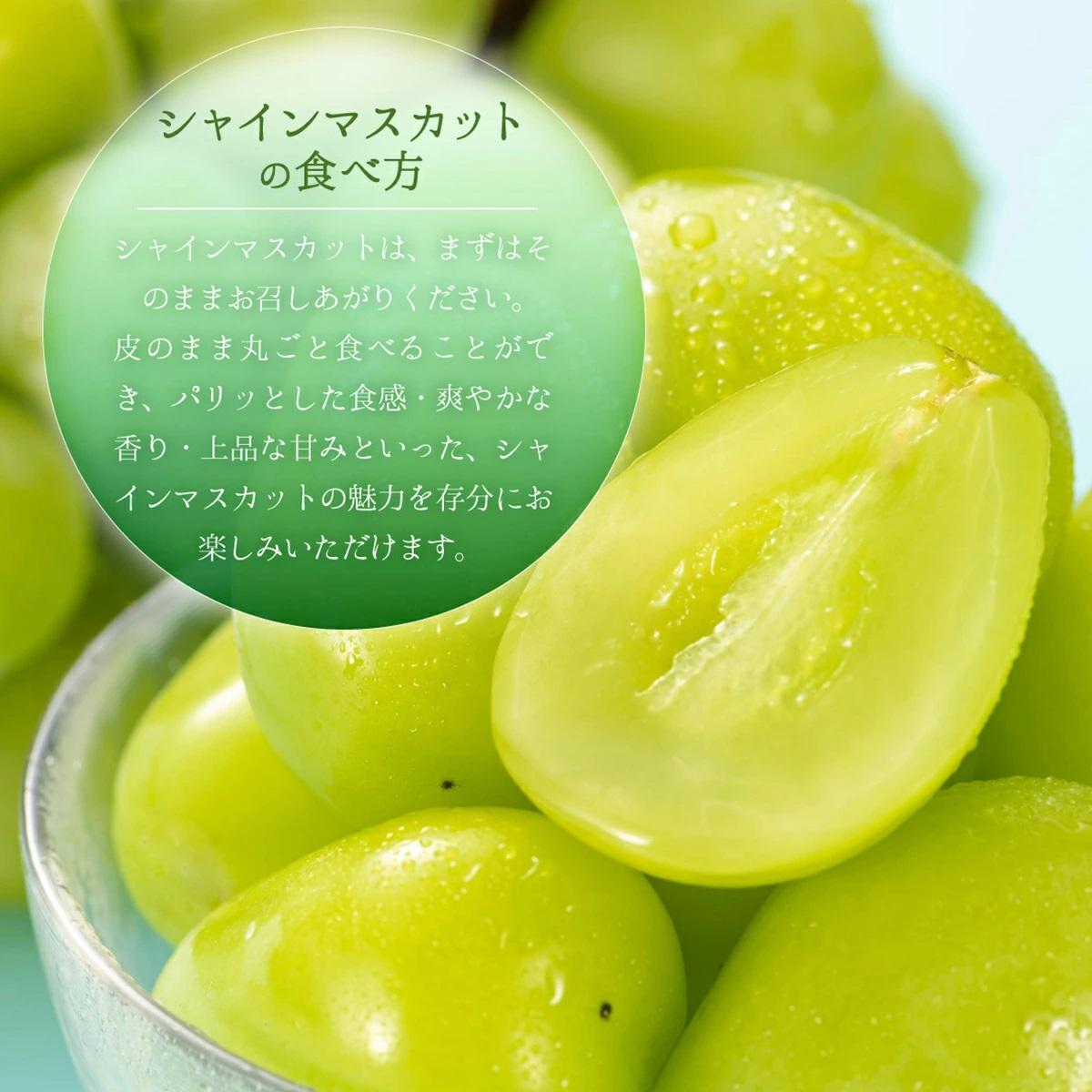 【2026年先行予約】［大原観光果樹園］シャインマスカット 2房（約1.2kg）【026-a014】 2房（約1.2kg）