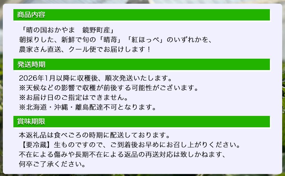 鏡野町産 朝採れ！旬の完熟いちご 300g×2パック＜2026年1月～3月発送＞【038-a003】 300g×2パック