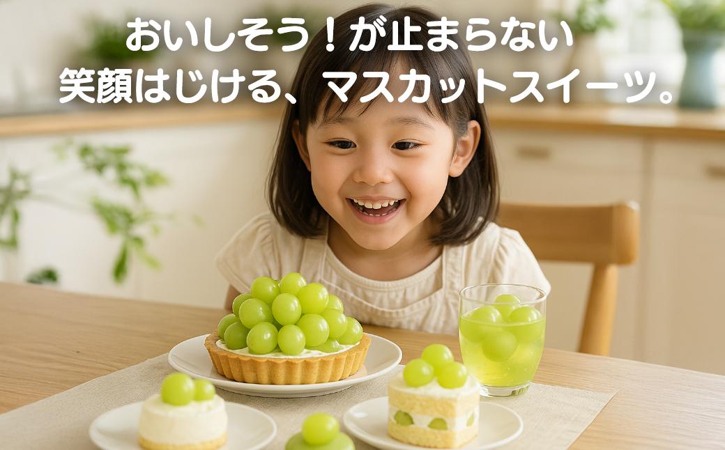 【2026年先行予約】［露地］岡山県産シャインマスカット 700g（１房入） 700g（１房入）