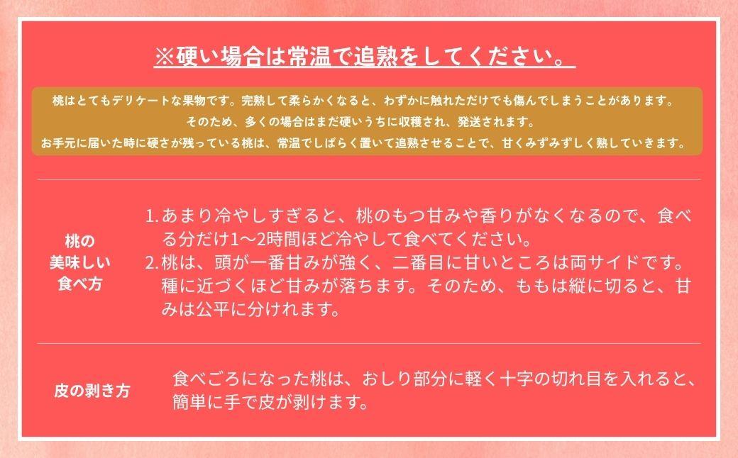 【2026年先行予約】［なんばふぁーむ］岡山県産 黄金桃 750g（3玉）［ご家庭用］【039-a013】 750g（3玉）