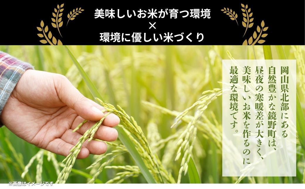令和7年産 鏡野町産 きぬむすめ 精米【10kg】035-a013 10kg