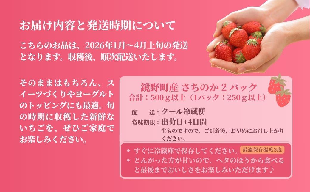 鏡野町産 朝摘みいちご「さちのか」2パック（合計500g）【2026年1月～4月発送】【029-a014】 2パック（合計500g）