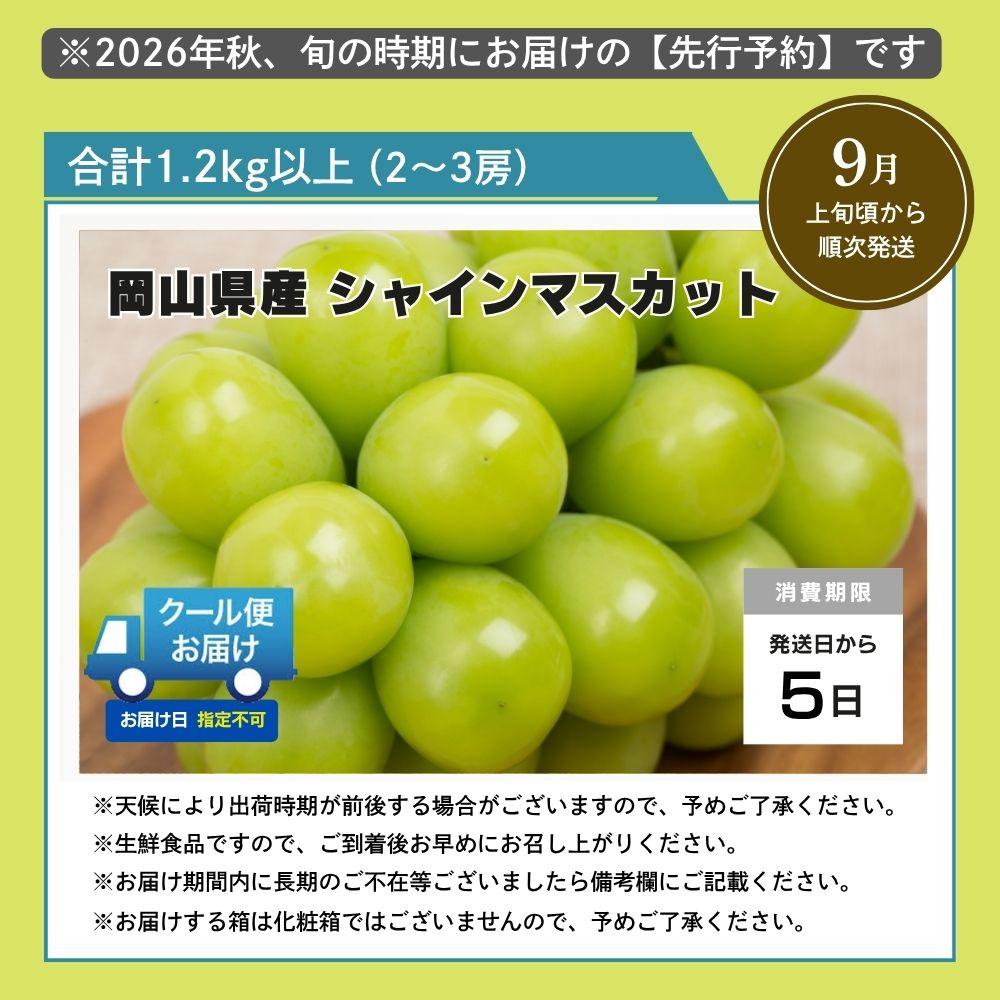 【2026年発送分 先行予約】岡山県産 シャインマスカット 1.2kg以上（2～3房）【ご家庭用】【025-a035】 1.2kg以上（2～3房）