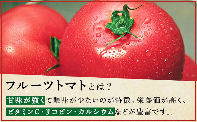 B-1. フルーツトマトジュレ【004-a025】