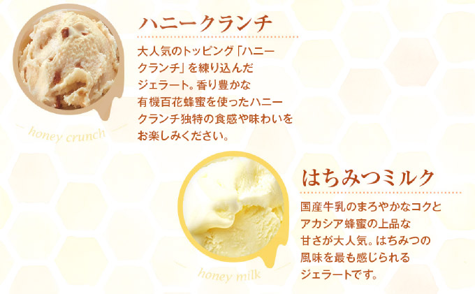 はちみつジェラート12個入（26590）【006-a050】