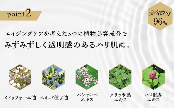 RJブーストクレンズ　クレンジングマルチジェル (07019)【006-a061】