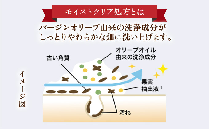 RJブーストクレンズ　スキンケアソープ (07025)【006-a063】