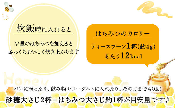 山田養蜂場　里山の百花蜂蜜300g（プラ容器入）×3本 （64253）【006-a066】