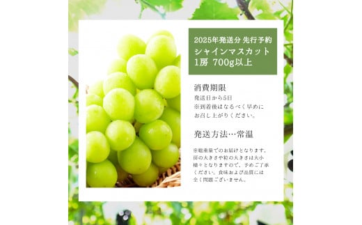 ＜受付終了間近＞シャインマスカット 1房 700g以上【025-a020】