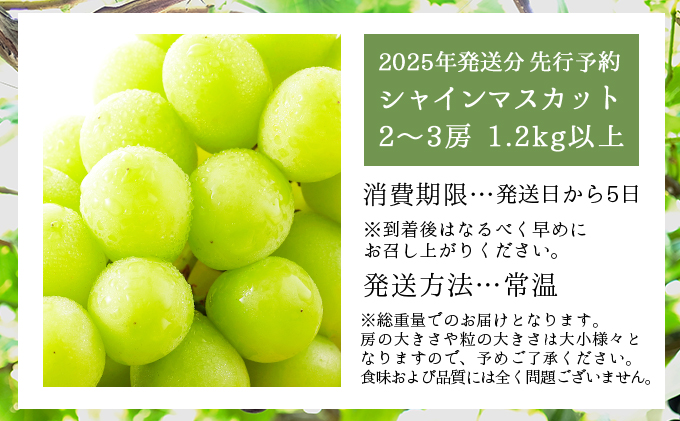 ＜2025年発送分 先行予約＞シャインマスカット 1.2kg以上（2～3房）【025-a021】