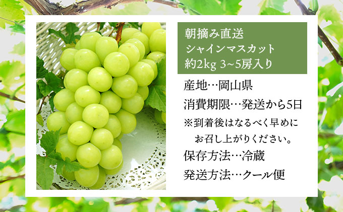 ＜2025年発送分 先行予約＞梅村ファーム 朝摘み直送 シャインマスカット（3房～5房 約2kg）【030-a011】