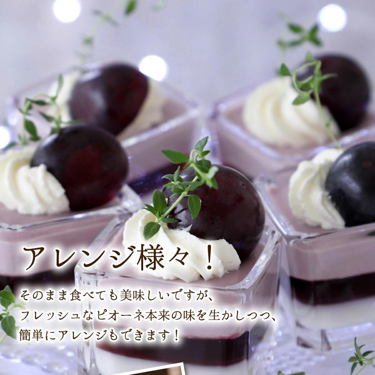 【2026年先行予約】［大原観光果樹園］ピオーネ 2房（約1.2kg）【026-a012】 2房（約1.2kg）