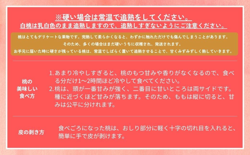 ＜数量限定＞［なんばふぁーむ］岡山県産 旬の桃 3.0kg（9～13玉）[ギフト用]【2026年発送】039-a005 3.0kg（9～13玉）
