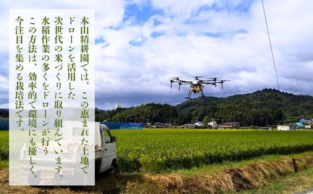 令和7年産 鏡野町産 きぬむすめ 精米【10kg】035-a013 10kg