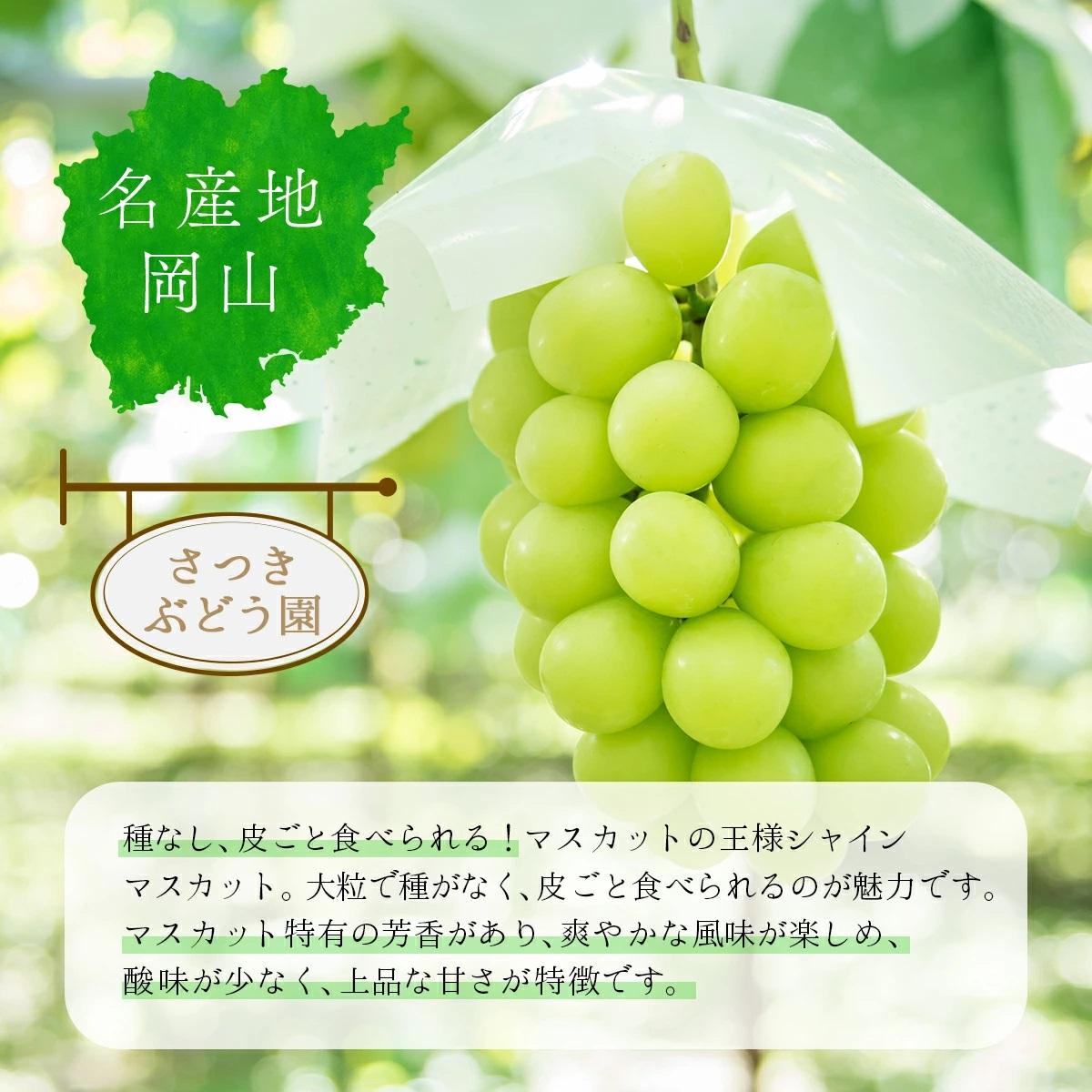 ＜2025年12月発送＞【ギフト】岡山県産 冬のシャインマスカット 1房 600g以上 [025-a032] 1房
