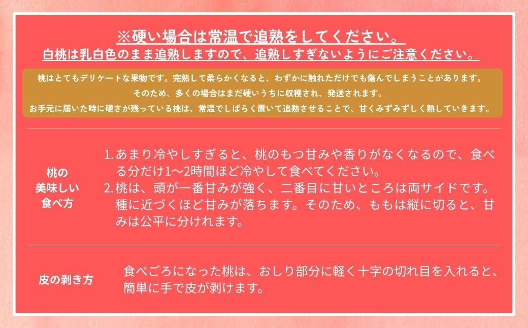 ＜数量限定＞［なんばふぁーむ］岡山県産 旬の桃 750kg（3玉）[ギフト用]【2026年発送】039-a012 750g（3玉）
